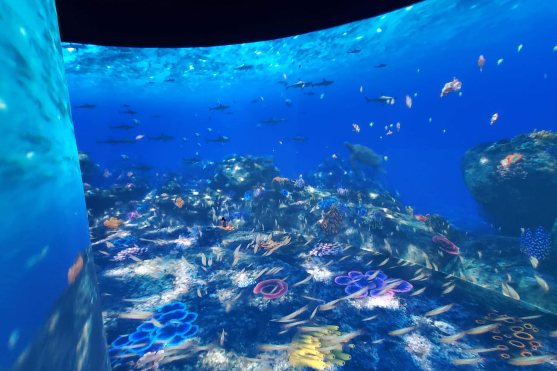 KIA E-Ground VIOSO Projector Calibration