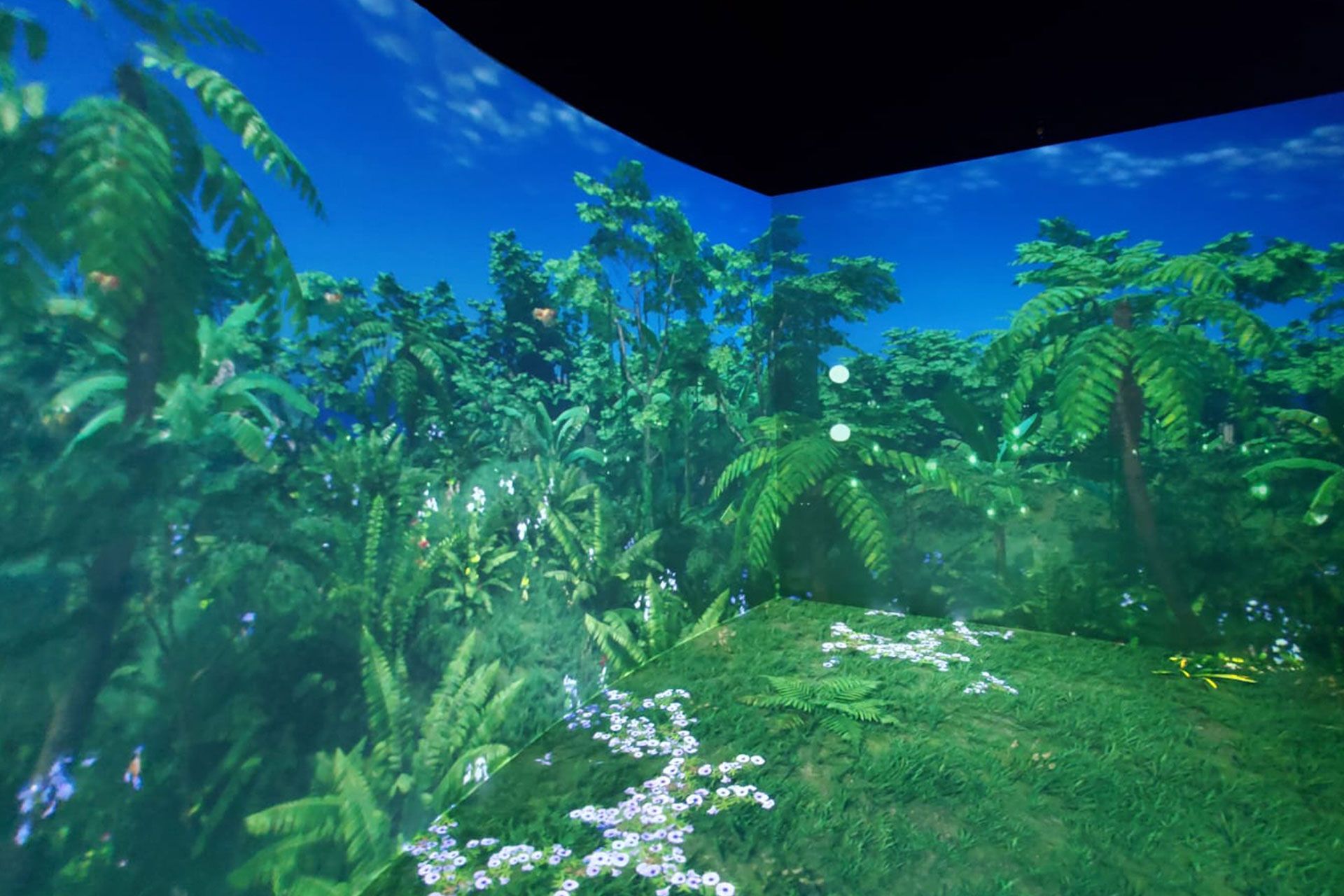 KIA  E-Ground VIOSO Projector Calibration